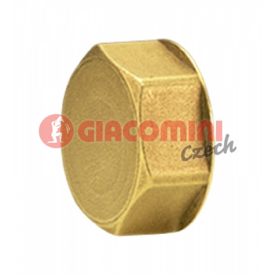 Zátka pro adaptérový vývod Giacomini 1˝F PRO R586 MOSAZ (50/500)